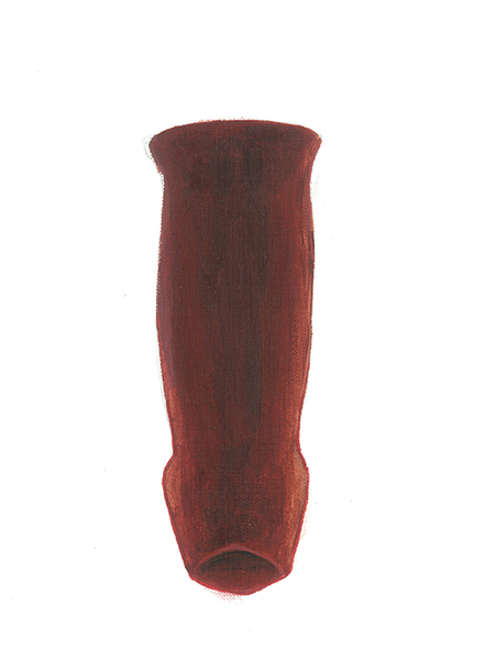  Vagina ( spatial display of the vaginal cavity)