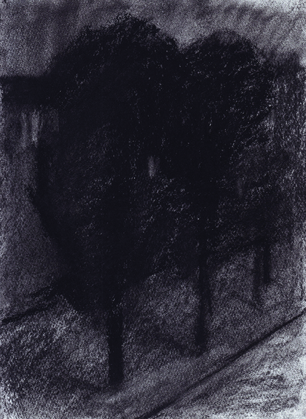 Charcoal and soft pastel \ 27.5 x 20.5 cm \ 2007 \ artwork for sale