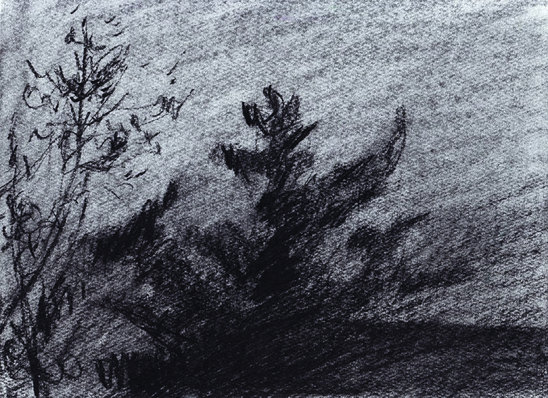 Charcoal on paper \ 20.5 x 27.5 cm \ 2007 \ artwork for sale