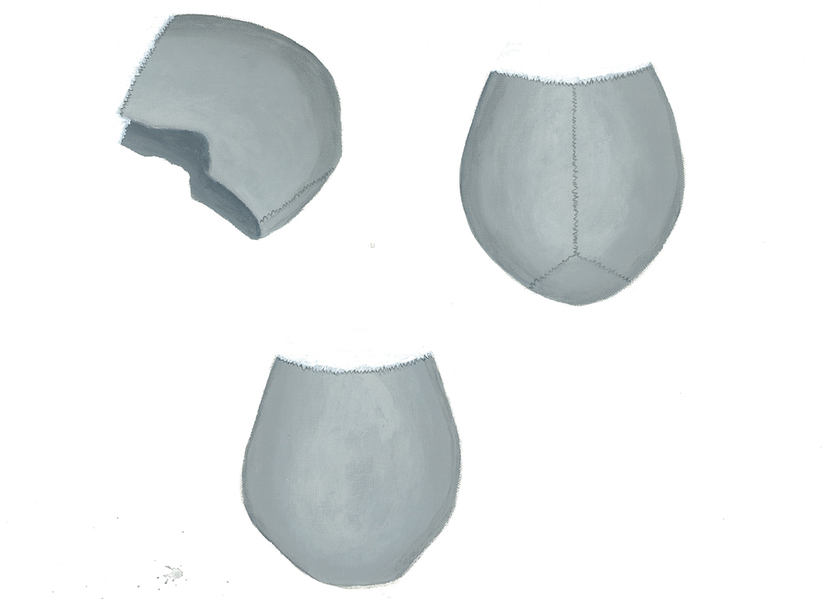Женски, машки череп и страничен приказ на череп 